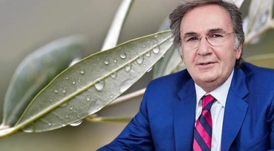 YANIMA TEK BESİN ALMA ŞANSIM OLSA...