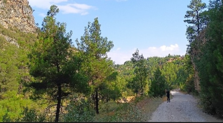 BURSA'DA O ÇAYIN YÖNÜ DEĞİŞECEK !