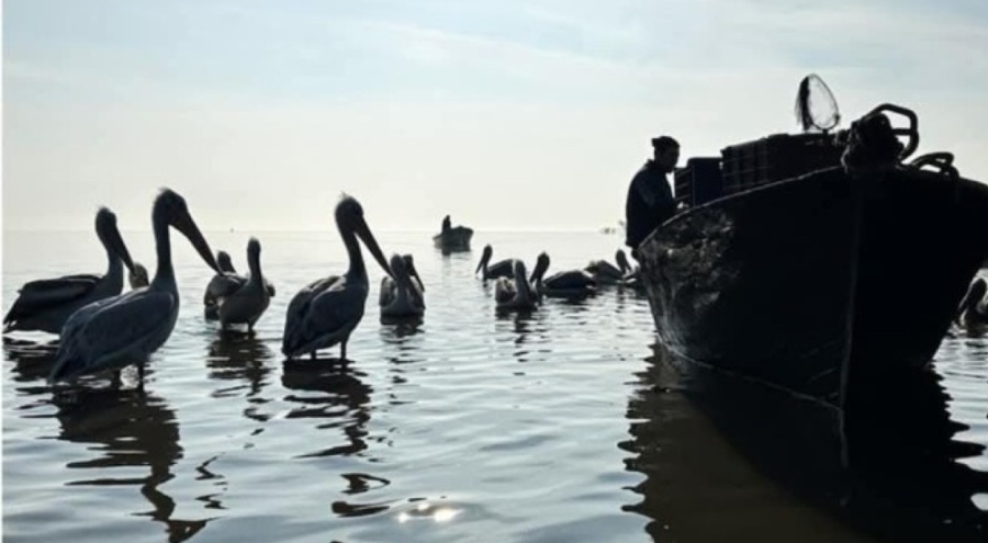 THE TİMES'DA  HAFTANIN FOTOĞRAFINDA BURSA DETAYI!