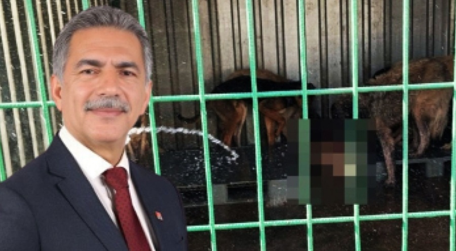 ŞÜKRÜ DEVİREN SESSİZLİĞİ!