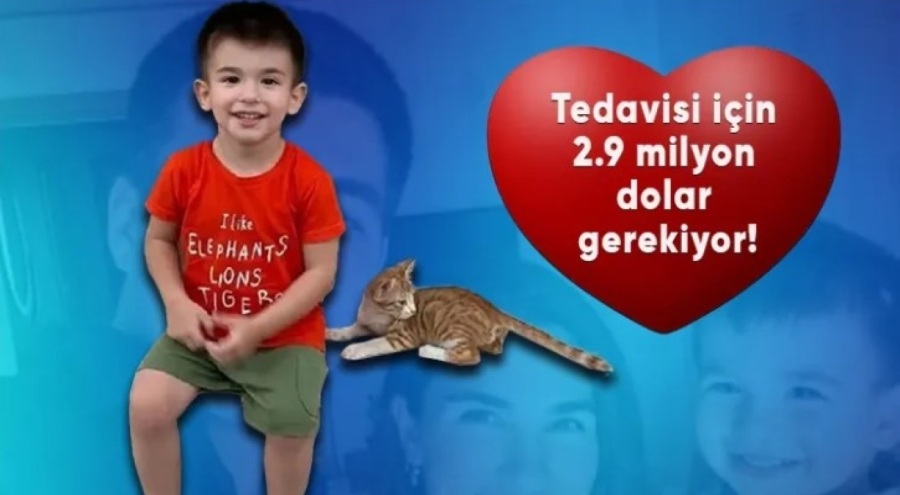HAYDİ BURSA KUZEY'E NEFES OL!
