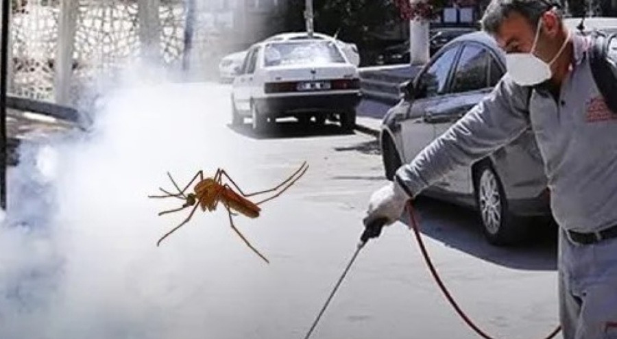 SİVRİSİNEK ALARMI! BOZBEY BU YIL HAZIR MI? BU YAZDA AYNI SORUNU YAŞAYACAK MIYIZ?