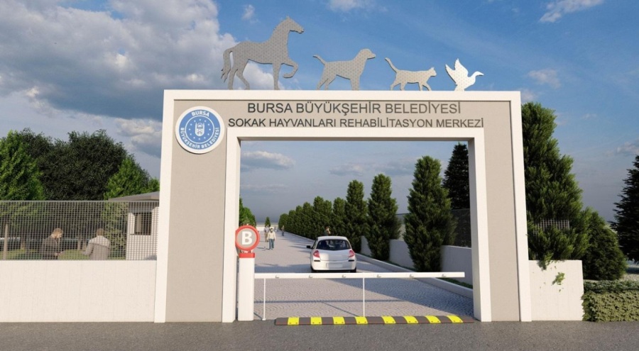 BURSA'DA BU EKİP ALKIŞI HAK EDİYOR! HAYVANSEVERLERDEN TAM NOT