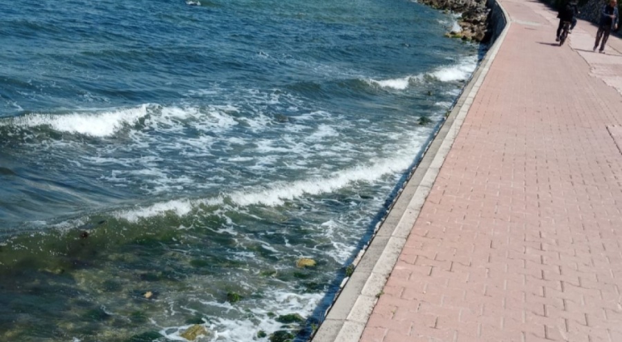 MUDANYA SAHİLİNDE KİRLİLİK ALARMI!