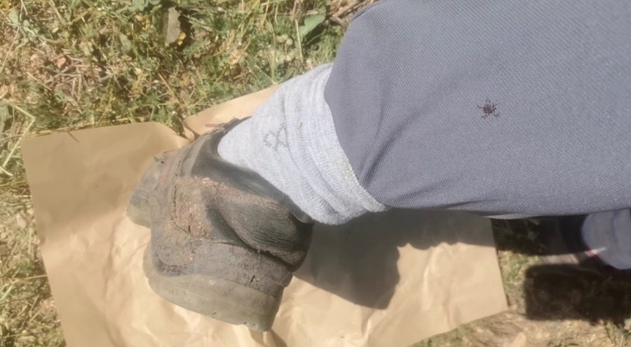 BURSALILAR TEDİRGİN! VAKALAR ARTIYOR