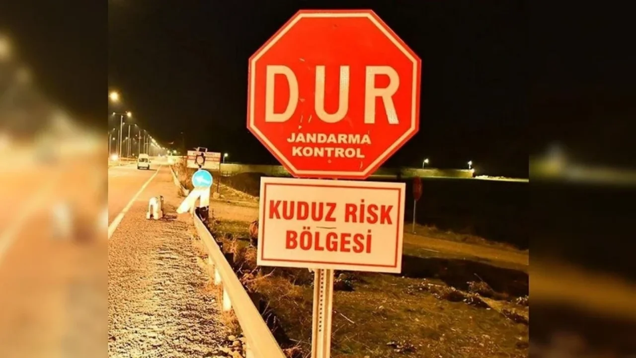 VAN'DA KUDUZ ALARMI: 7 MAHALLE KARANTİNAYA ALINDI