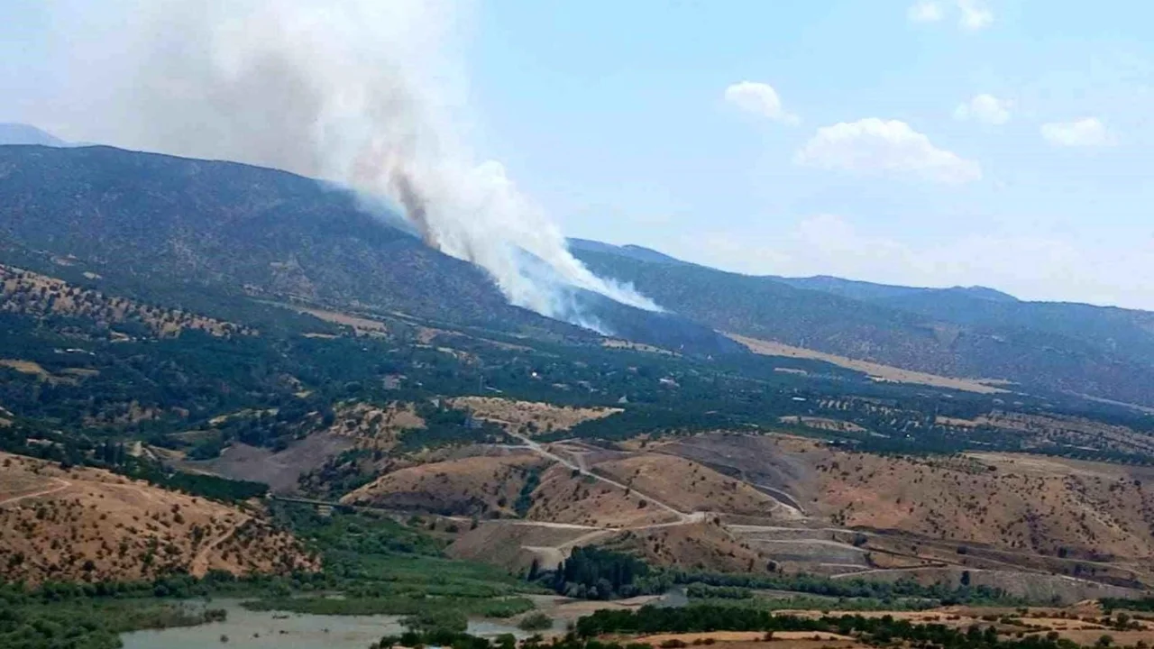 MALATYA'DA ORMAN YANGININA MÜDAHALE SÜRÜYOR