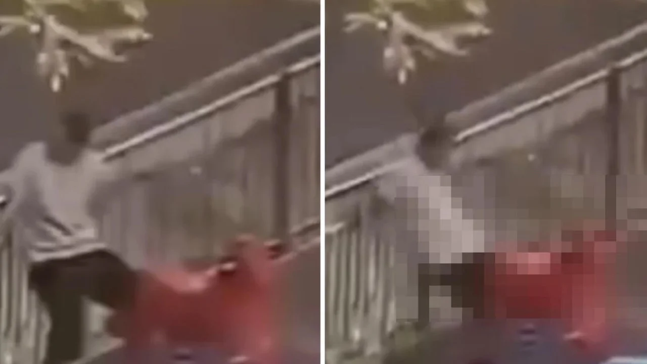 ÇOCUK PARKINDA MİDE BULANDIRAN GÖRÜNTÜLER...